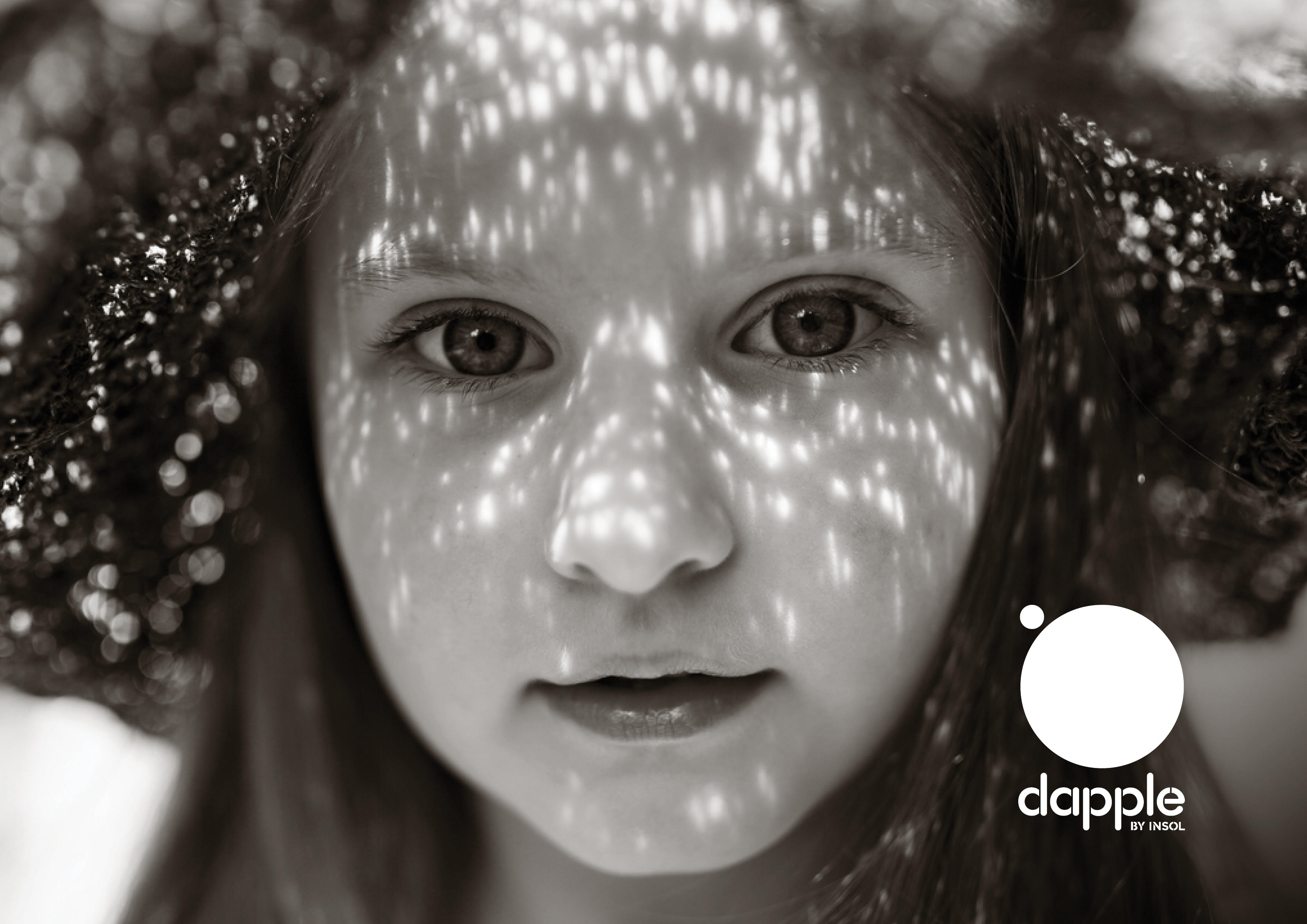 dapple | Insol Ltd 